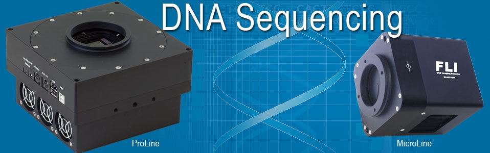DNA Sequencing