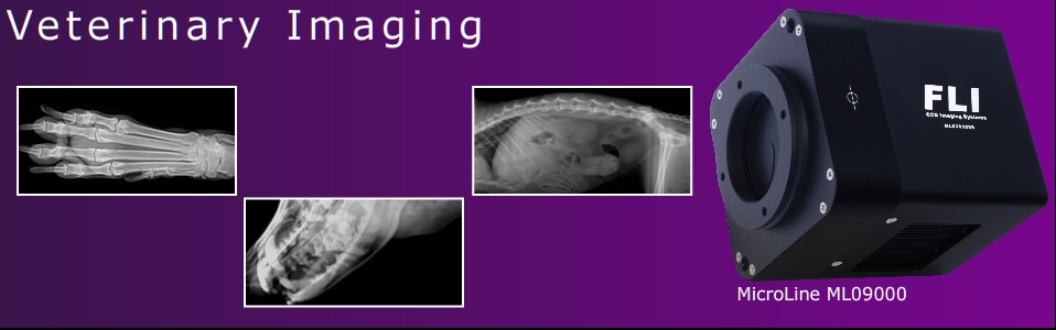 Veterinary Imaging