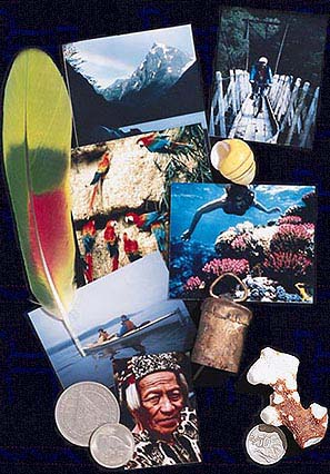 Collage